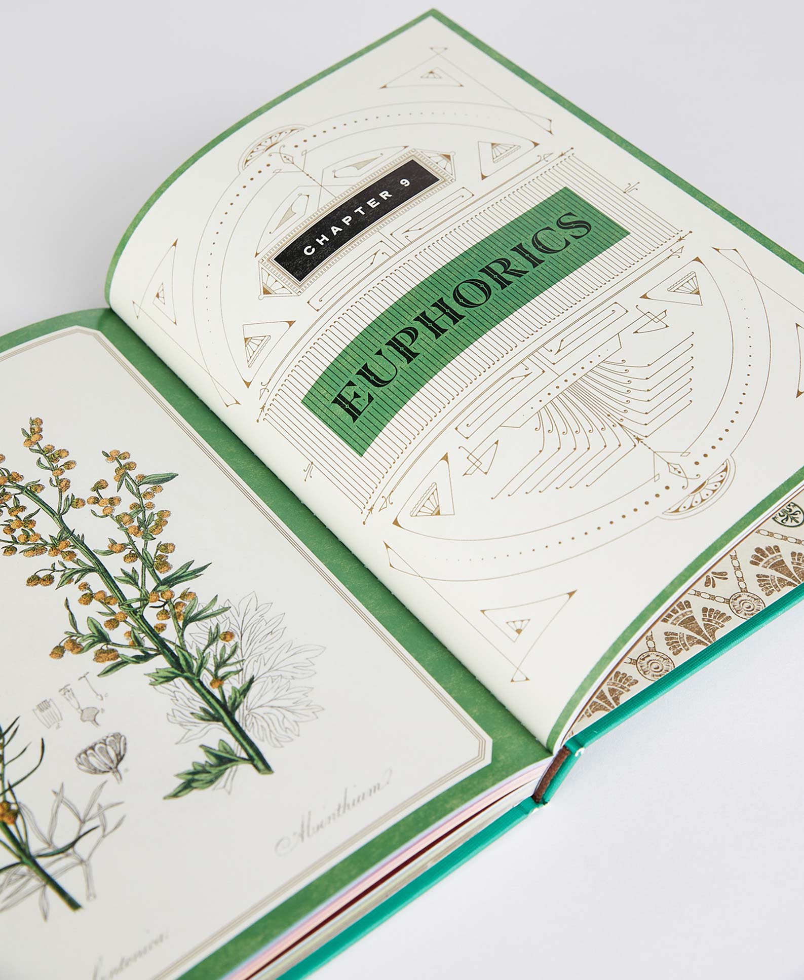 The book &mdash; still life