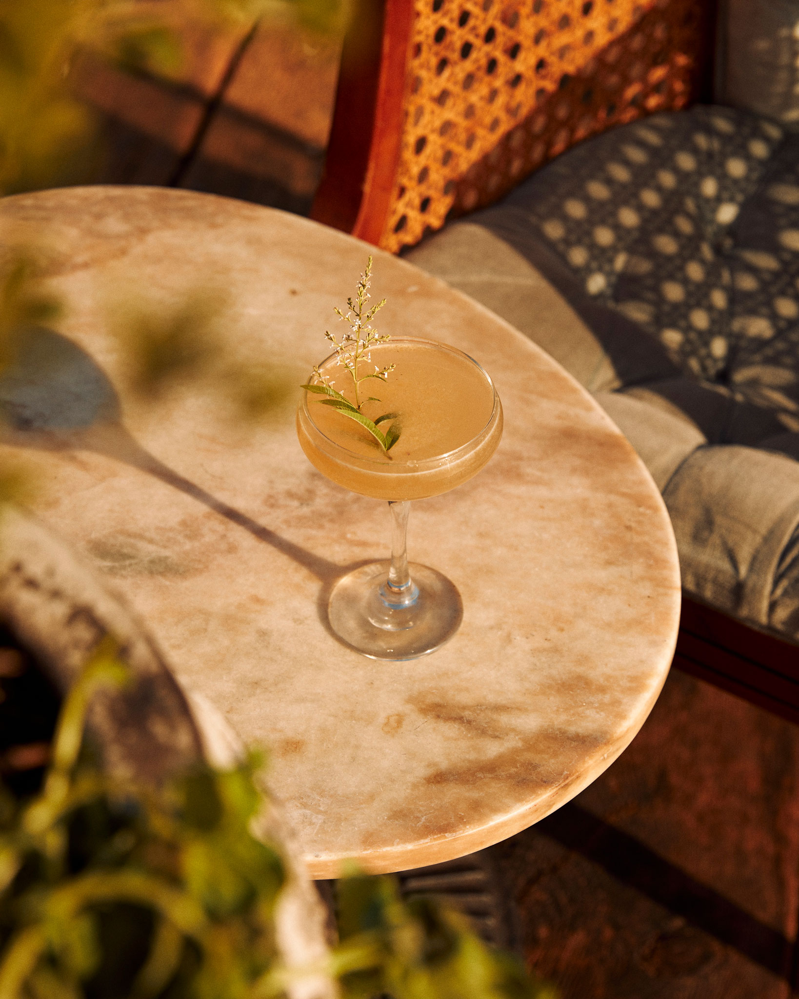 Cocktail social &mdash; Orange Wine