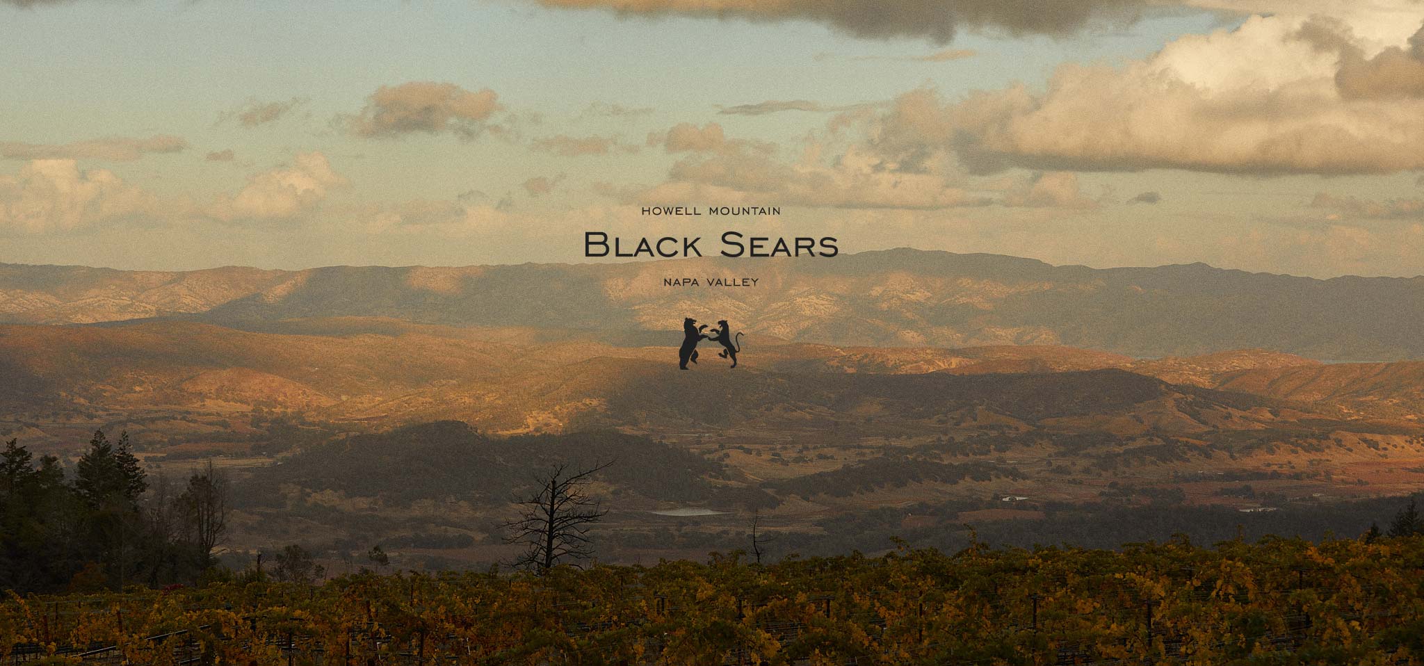 Black Sears Estate on Howell Mountain