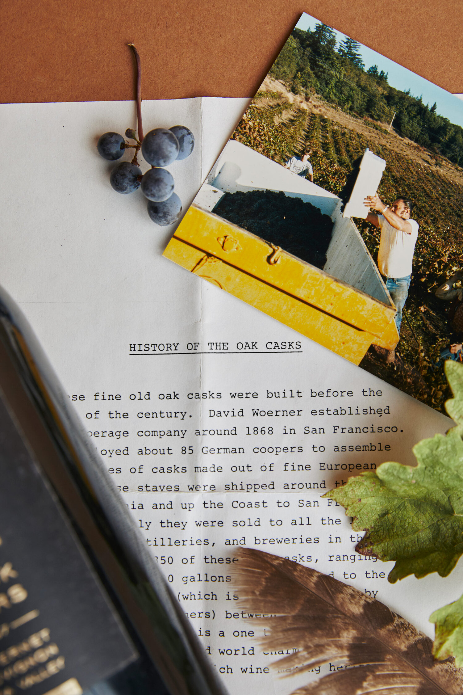 Estate Cabernet &mdash; still life