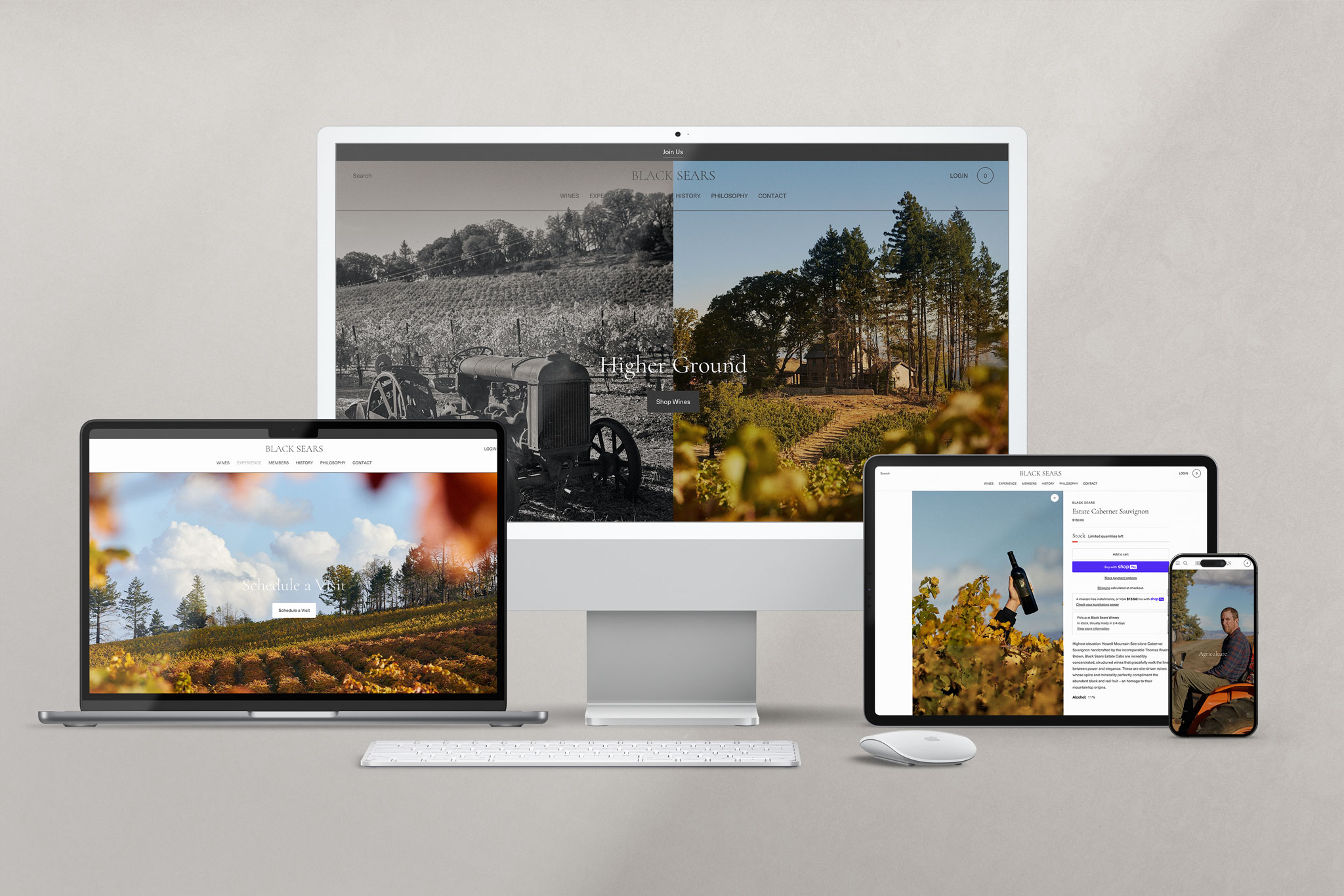 Web design