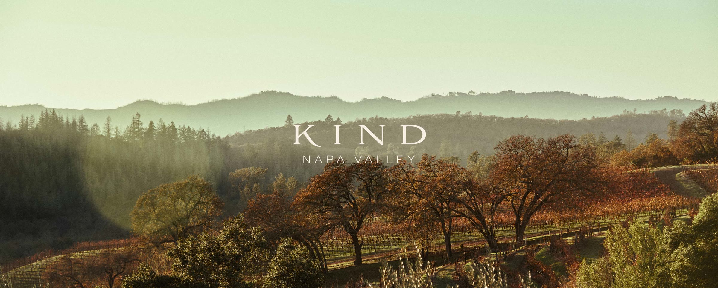 Napa Valley &mdash; brand poster